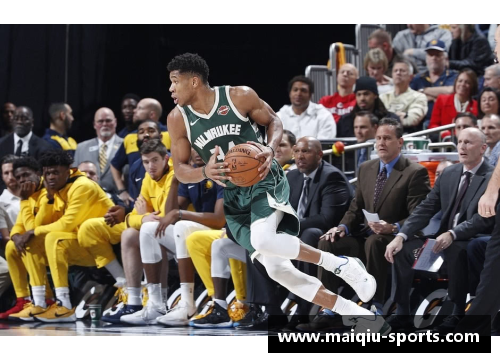 加拿大NBA球队的发展与影响力：探索北方极限的篮球魅力