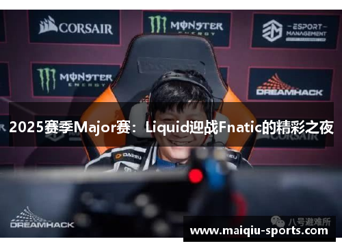 2025赛季Major赛：Liquid迎战Fnatic的精彩之夜